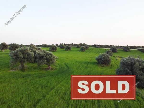 land sold agios theodoros larnacas larnaca 1016706 image 1042957