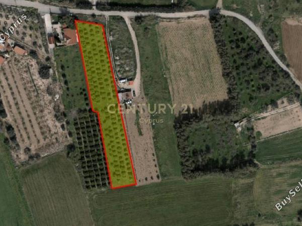 plot for sale kolossi limassol 8468706 image 16588748