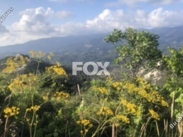 land for sale koilani limassol 1147806 image 13236020