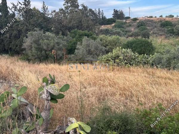 land for sale monagroulli limassol 9004806 image 18363160