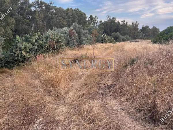 land for sale monagroulli limassol 9004806 image 18363163