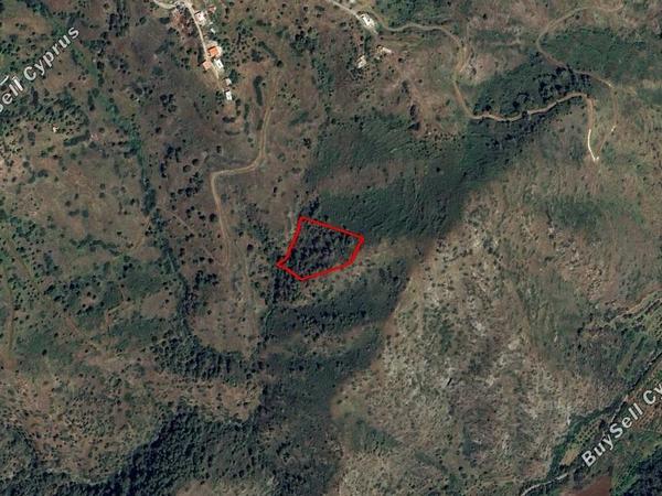 land for sale pigenia nicosia 1439806 image 15664148