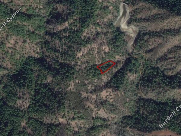 land for sale pigenia nicosia 829806 image 15664137