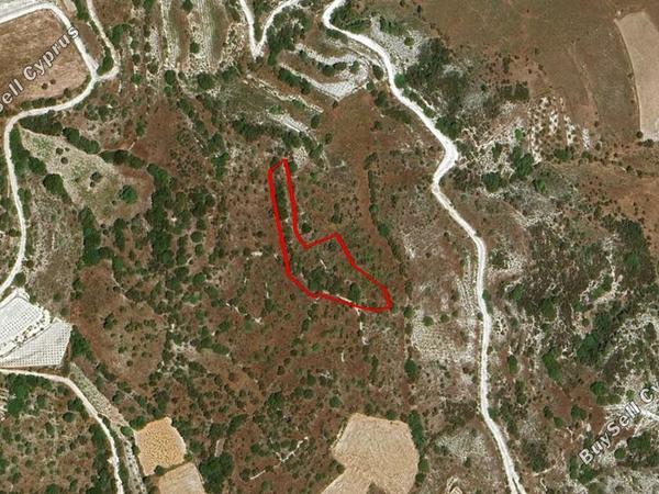 land for sale salamiou paphos 7912806 image 11448021