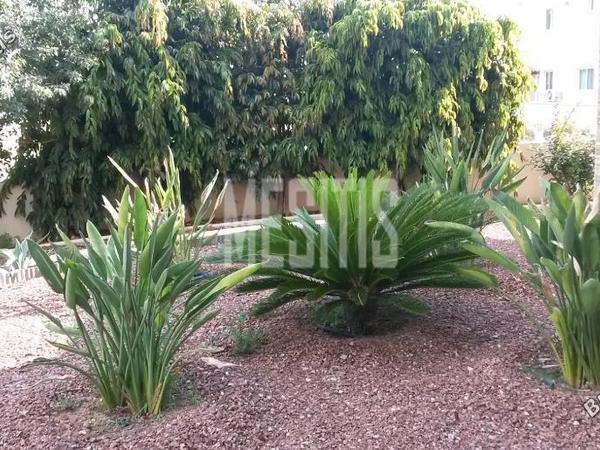 4 bedroom detached house for rent strovolos nicosia 7798906 image 16219212