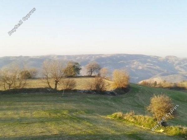 4 bedroom detached house for sale koili paphos 7739906 image 12175102