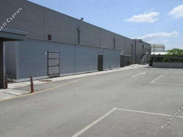 studio shop for sale sopaz nicosia 1680906 image 10133642