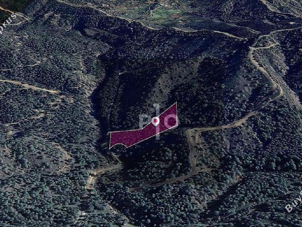 land for sale kapedes nicosia 8275016 image 15156934