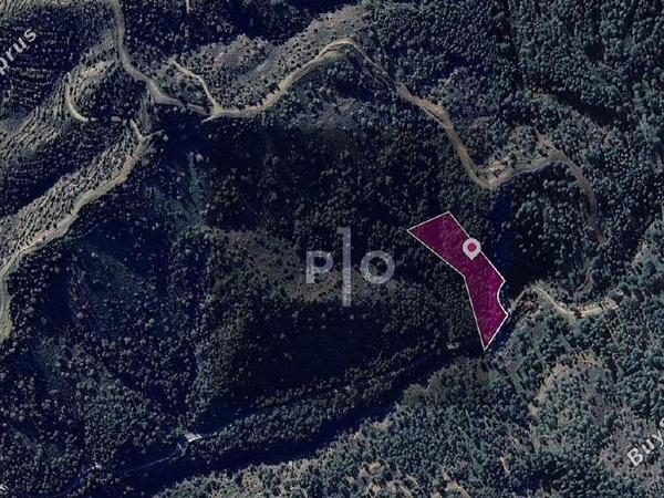 land for sale kapedes nicosia 8275016 image 15156936