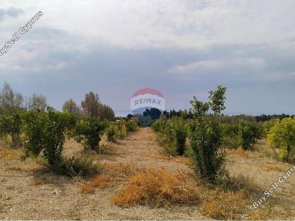 land for sale paphos municipality paphos 7949016 image 15496734