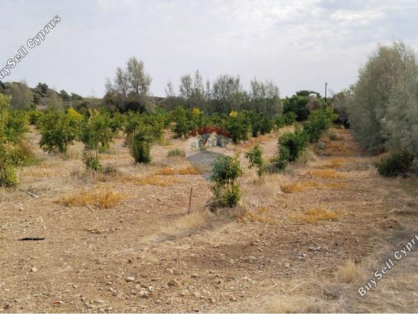 land for sale paphos municipality paphos 7949016 image 15496736