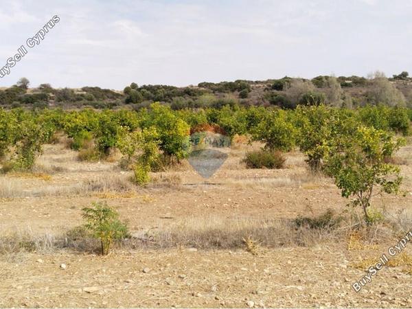 land for sale paphos municipality paphos 7949016 image 16417410