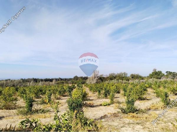 land for sale paphos municipality paphos 7949016 image 16417412