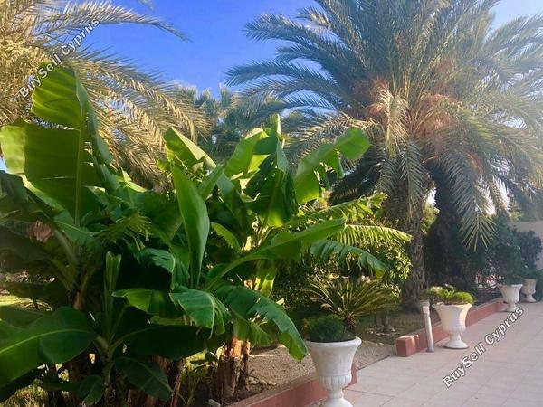 5 bedroom detached house for sale pervolia larnaca 1685116 image 4408835