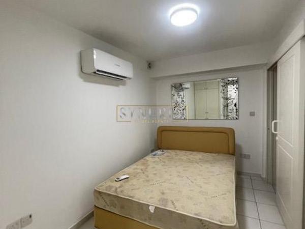 8 bedroom detached house for rent acropolis nicosia 8312116 image 17527872