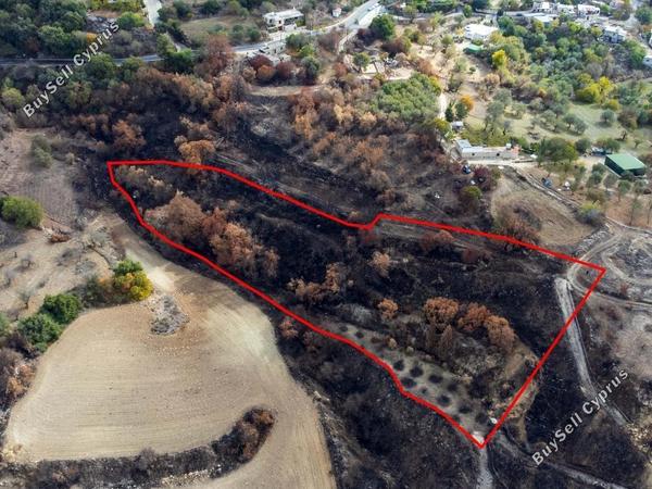 land for sale drimou paphos 1898116 image 14212059