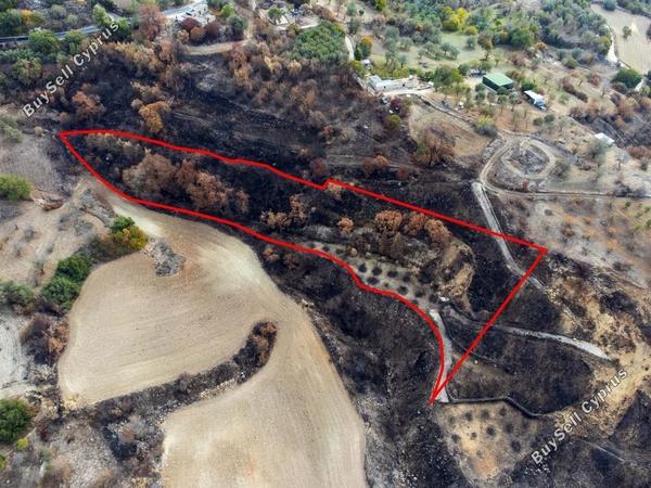 land for sale drimou paphos 1898116 image 14212063