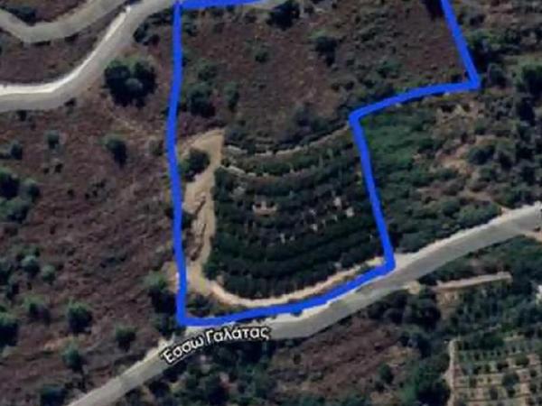 land for sale galata nicosia 1846116 image 6638875