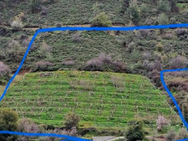 land for sale galata nicosia 1846116 image 6638878
