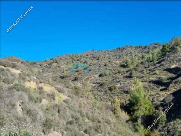 land for sale kalo chorio lemesou limassol 1870116 image 6909762