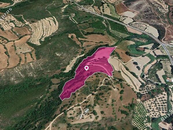 land for sale loukrounou paphos 8396116 image 14823696
