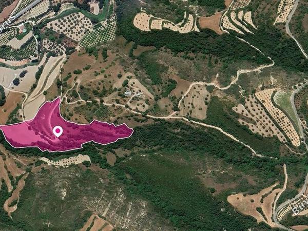 land for sale loukrounou paphos 8396116 image 14823697