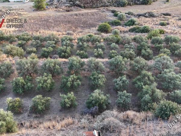 plot for sale pano lefkara larnaca 1565116 image 16121737
