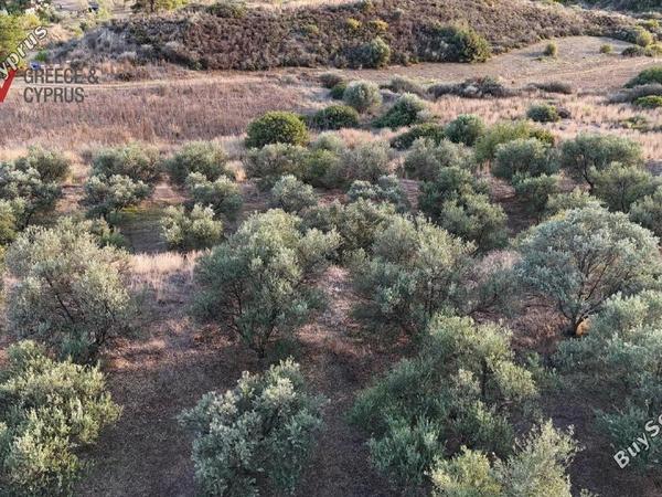 plot for sale pano lefkara larnaca 1565116 image 16121738