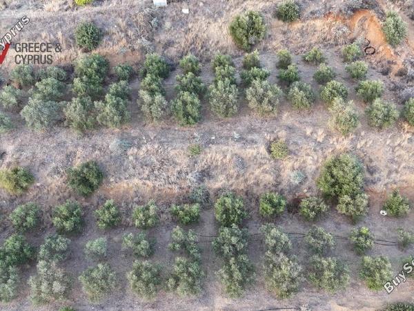 plot for sale pano lefkara larnaca 1565116 image 16121740