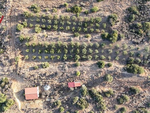 plot for sale pano lefkara larnaca 1565116 image 16121743