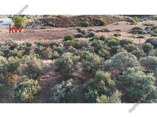 plot for sale pano lefkara larnaca 1565116 image 18420070