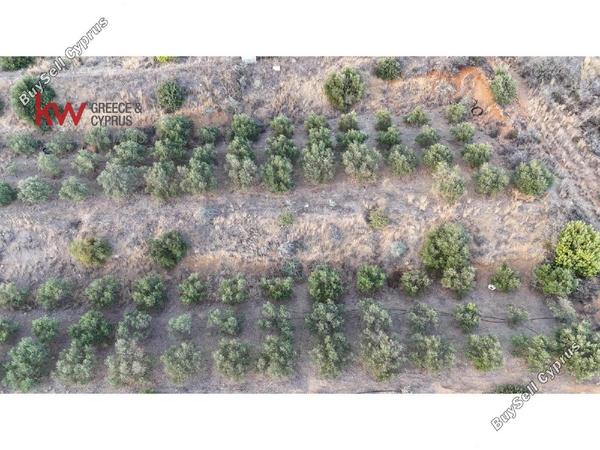plot for sale pano lefkara larnaca 1565116 image 18420071