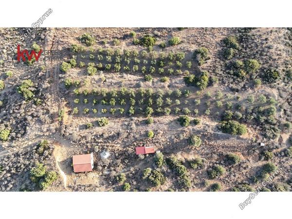 plot for sale pano lefkara larnaca 1565116 image 18420073