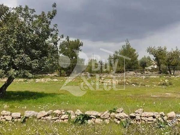 plot for sale souni zanakia limassol 1459116 image 5117380