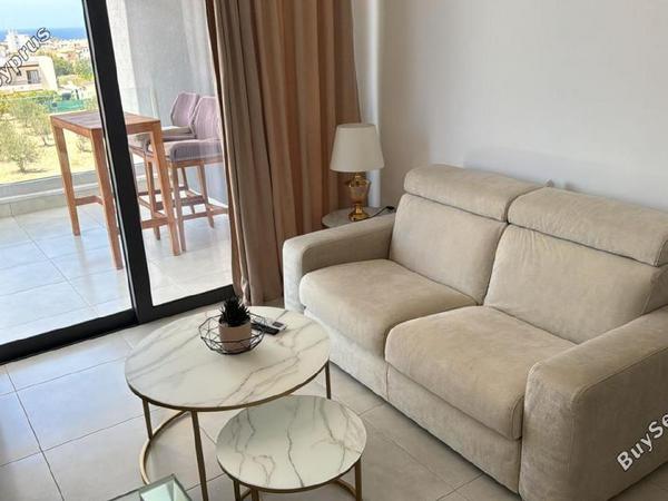 1 bedroom apartment for rent paphos municipality paphos 8870216 image 17218655
