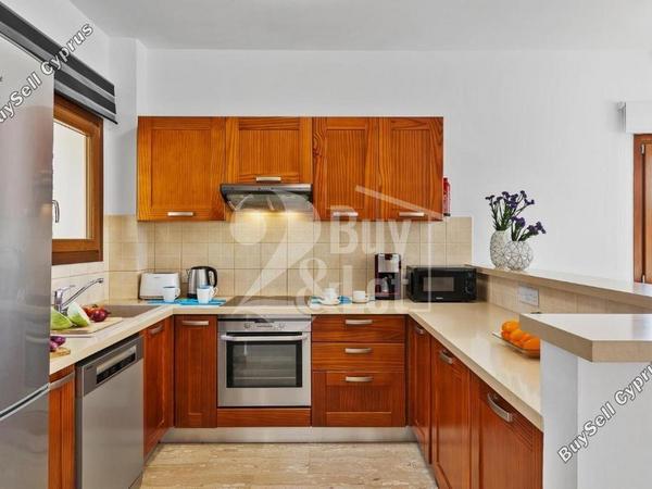 3 bedroom detached house for rent kouklia pafou paphos 8588216 image 15703196