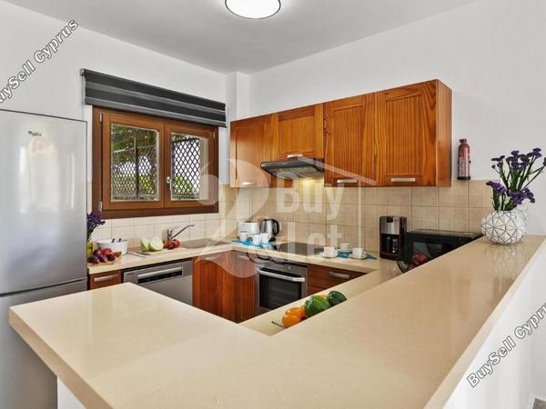 3 bedroom detached house for rent kouklia pafou paphos 8588216 image 15703214