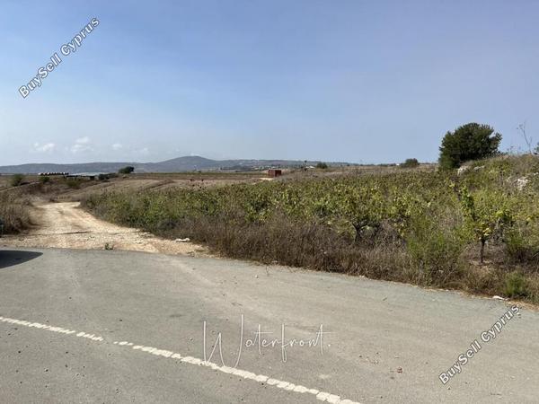land for sale kathikas paphos 8959216 image 17779230