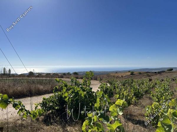land for sale kathikas paphos 8959216 image 17779231