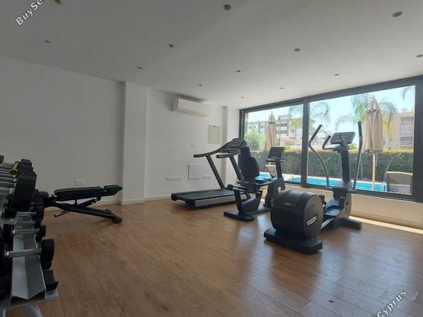 1 bedroom apartment for rent potamos germasogeias limassol 7903316 image 16341056