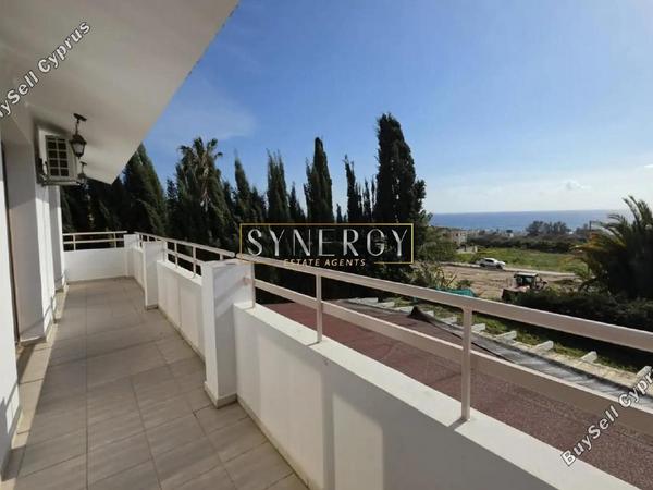 4 bedroom detached house for rent kissonerga paphos 8699316 image 16218615