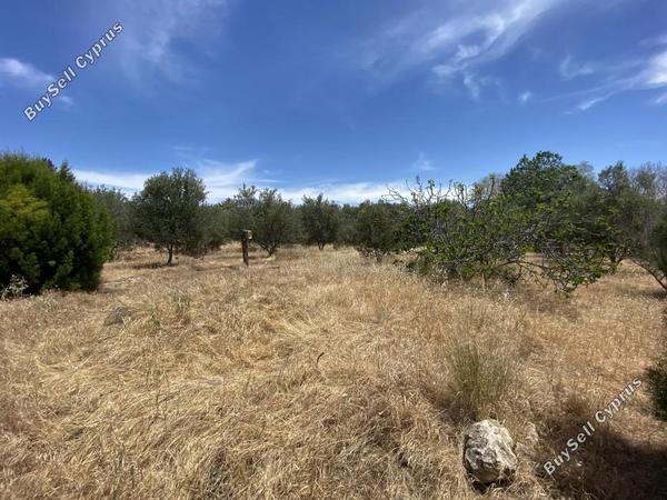 6 bedroom detached house for sale timi paphos 7739316 image 12572082