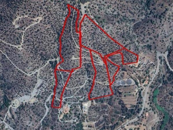 land for sale foinikaria limassol 8676316 image 16076210
