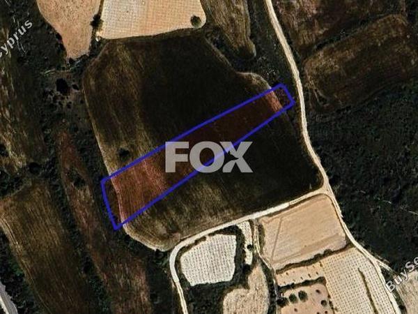 land for sale kathikas paphos 1301316 image 5588919