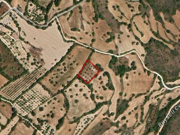 land for sale kritou tera paphos 1558316 image 3888131