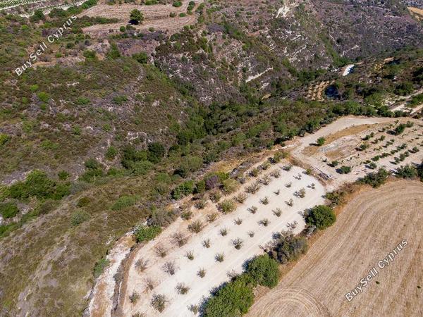 land for sale kritou tera paphos 7741316 image 15596638