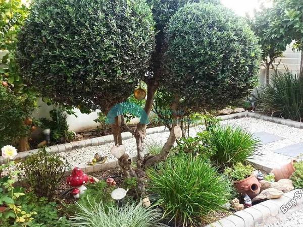 2 bedroom detached house for sale tseri nicosia 947416 image 5419085