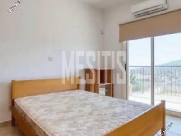 3 bedroom detached house for rent monagroulli limassol 8225416 image 14920355