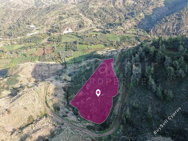 land for sale pigenia nicosia 7872416 image 11385124