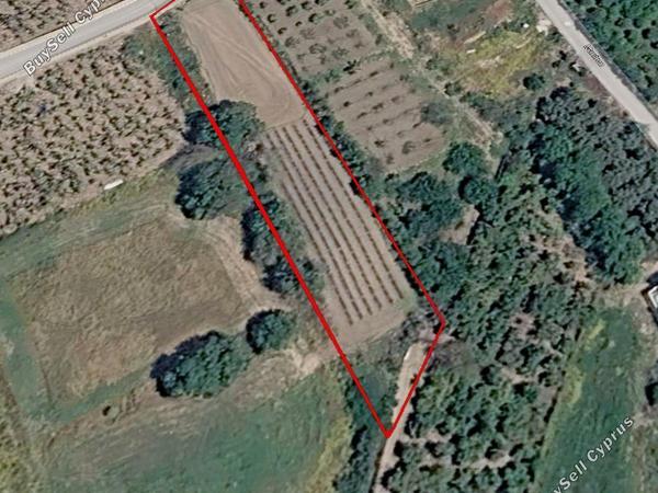 plot for sale kissonerga paphos 8681416 image 16099656